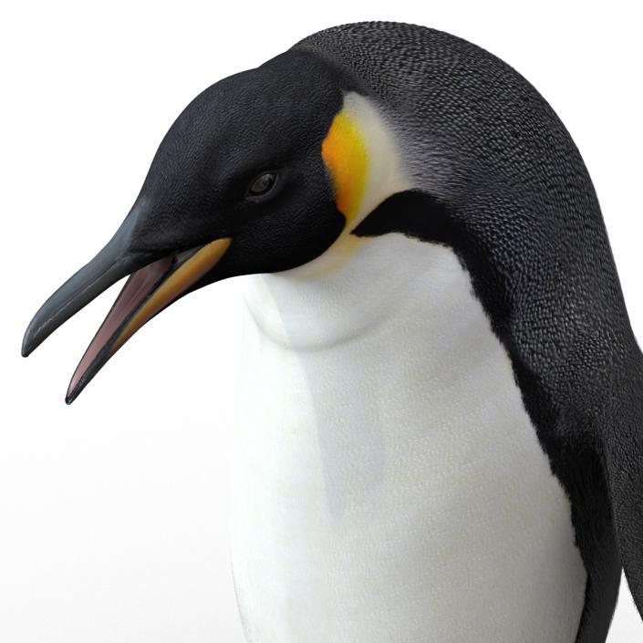 3D Penguin Pose 3 with Fur model