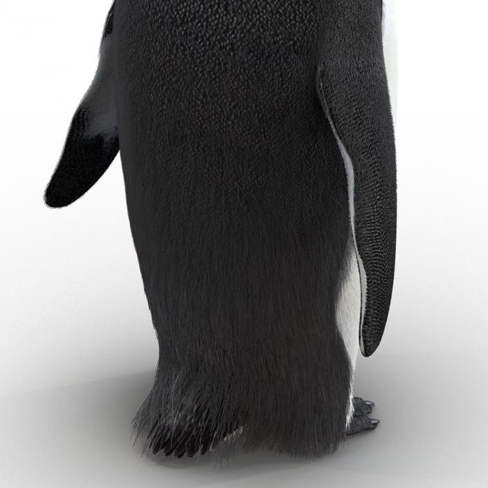 3D Penguin Pose 3 with Fur model