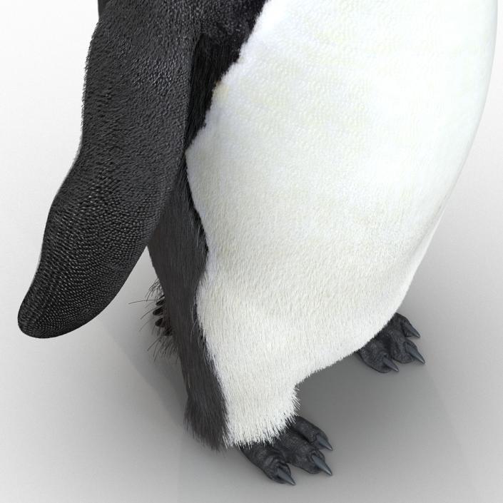 3D Penguin Pose 3 with Fur model