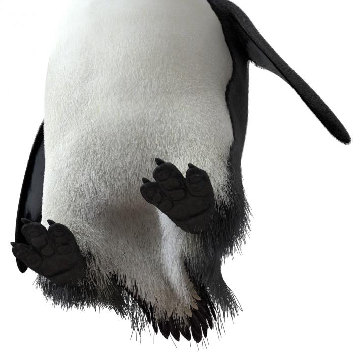 3D Penguin Pose 3 with Fur model