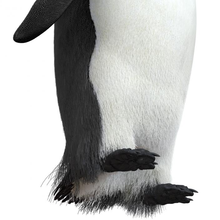 3D Penguin Pose 3 with Fur model