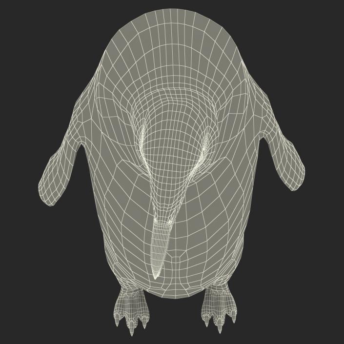 3D Penguin Pose 3 with Fur model