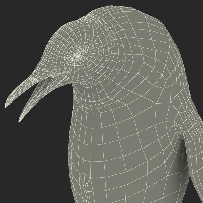 3D Penguin Pose 3 with Fur model