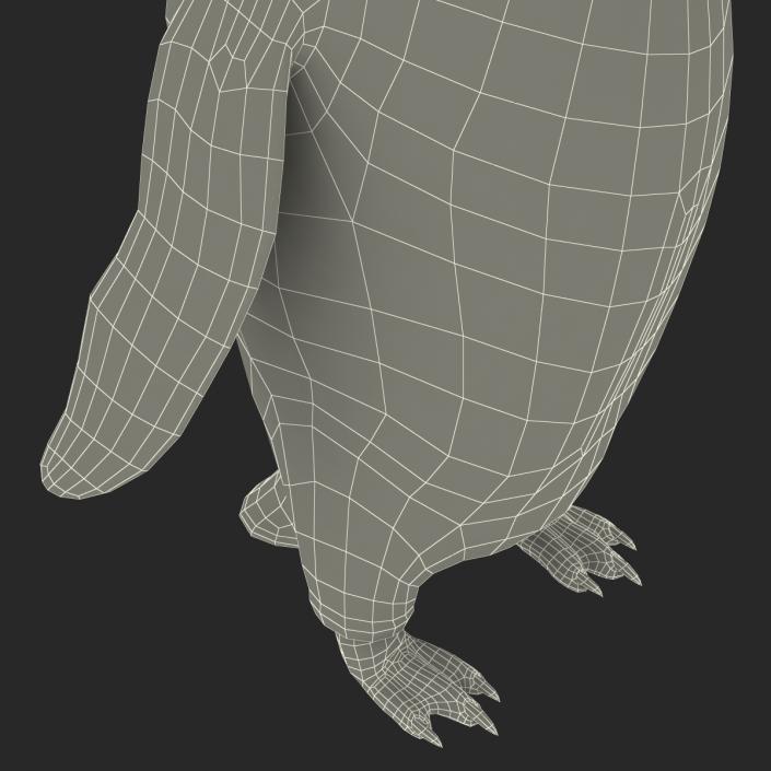 3D Penguin Pose 3 with Fur model