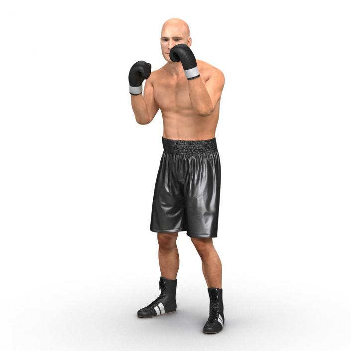 Adult Boxer Man Pose 2 3D