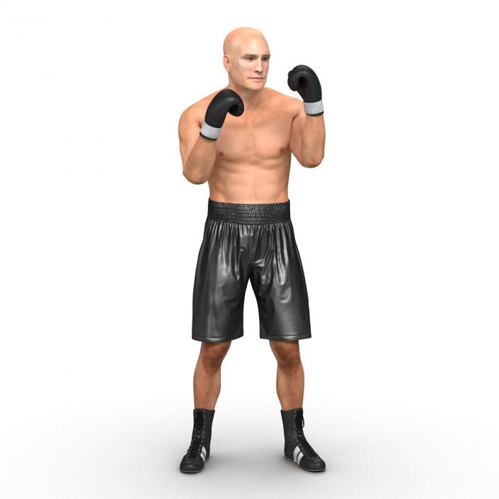 Adult Boxer Man Pose 2 3D