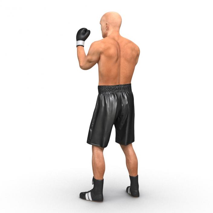 Adult Boxer Man Pose 2 3D