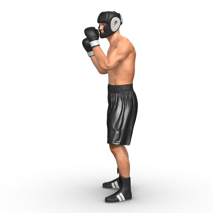 Adult Boxer Man Pose 2 3D