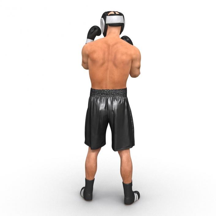 Adult Boxer Man Pose 2 3D