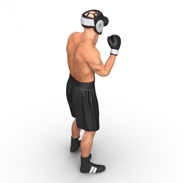 Adult Boxer Man Pose 2 3D