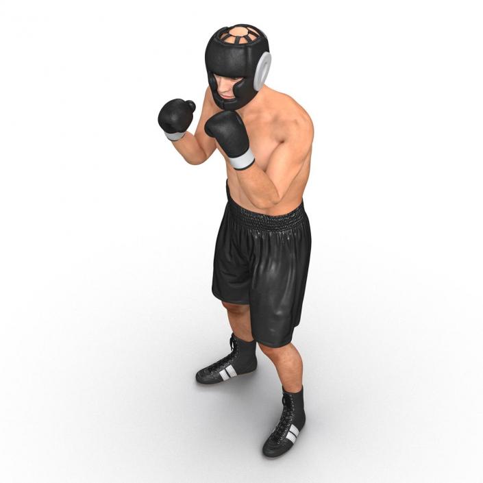 Adult Boxer Man Pose 2 3D