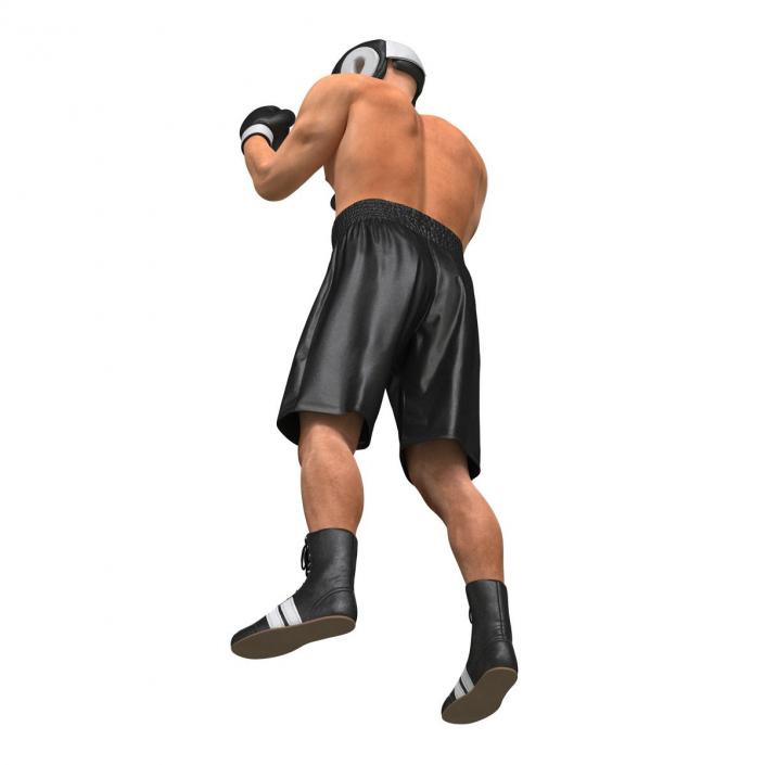 Adult Boxer Man Pose 2 3D