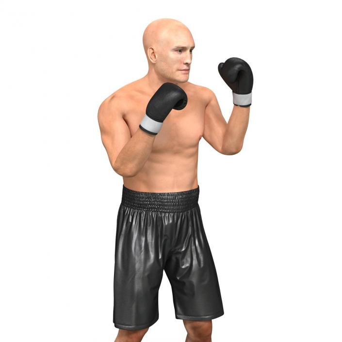 Adult Boxer Man Pose 2 3D