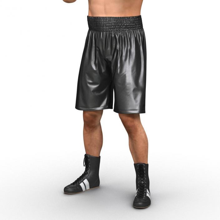 Adult Boxer Man Pose 2 3D