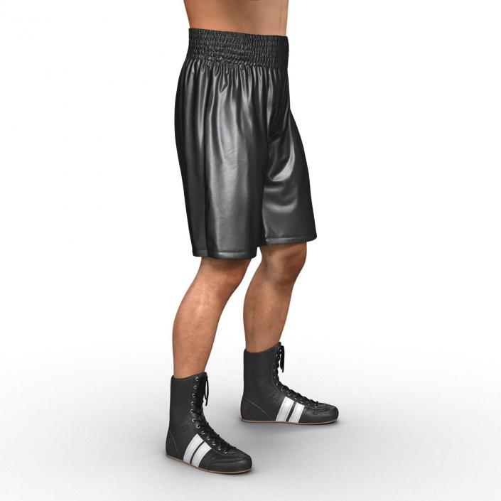 Adult Boxer Man Pose 2 3D