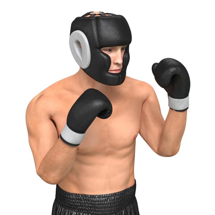 Adult Boxer Man Pose 2 3D