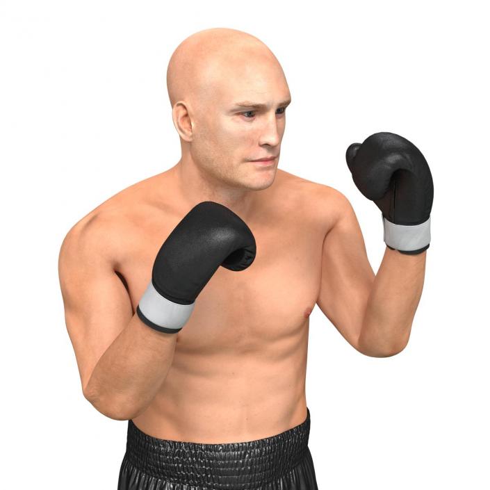 Adult Boxer Man Pose 2 3D