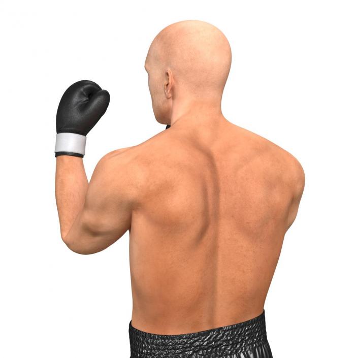 Adult Boxer Man Pose 2 3D