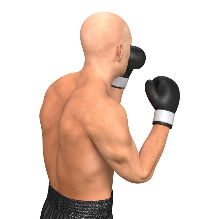 Adult Boxer Man Pose 2 3D