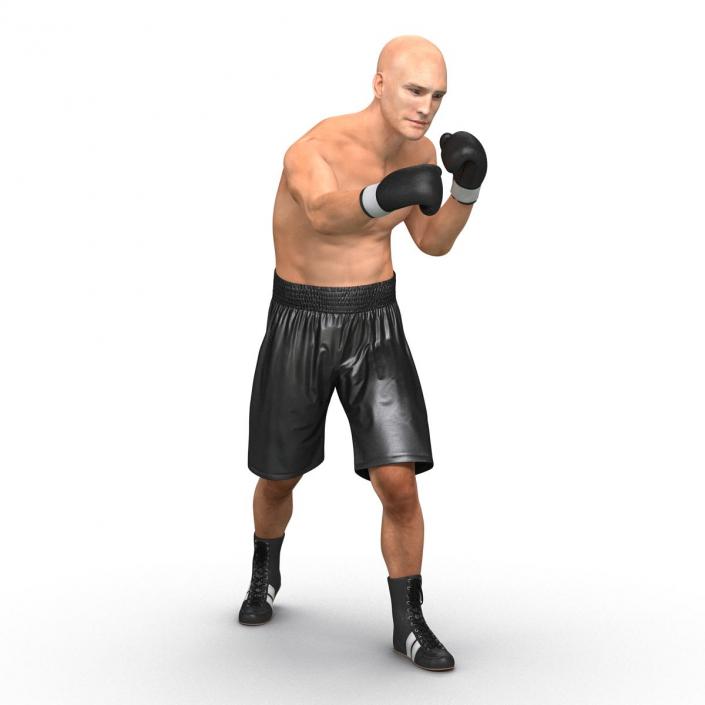 Adult Boxer Man Pose 3 3D