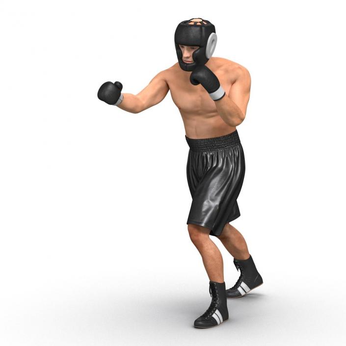 Adult Boxer Man Pose 3 3D