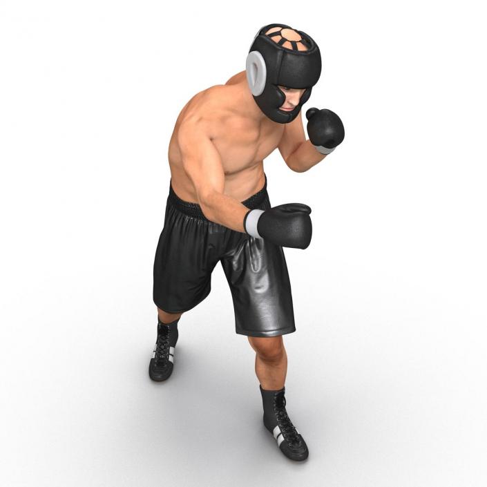 Adult Boxer Man Pose 3 3D