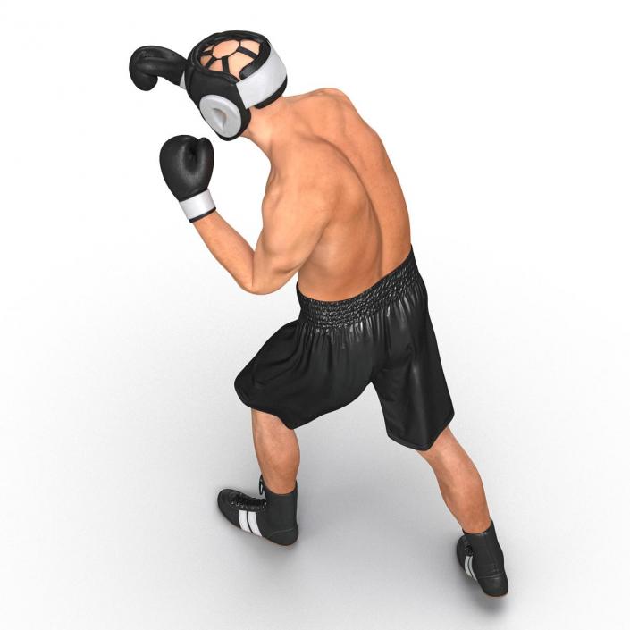 Adult Boxer Man Pose 3 3D