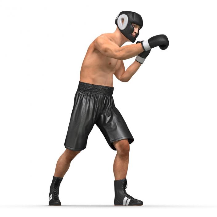 Adult Boxer Man Pose 3 3D