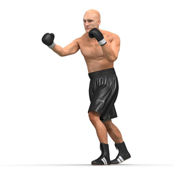 Adult Boxer Man Pose 3 3D