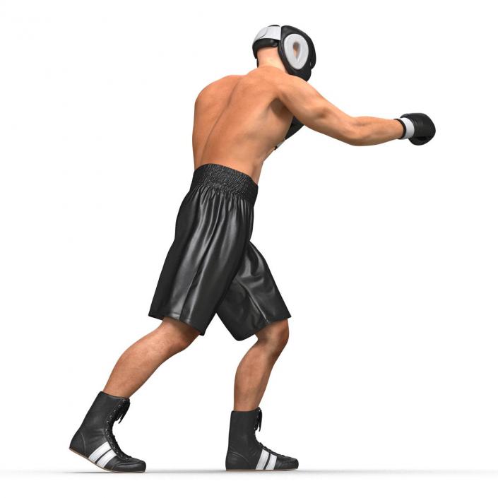 Adult Boxer Man Pose 3 3D