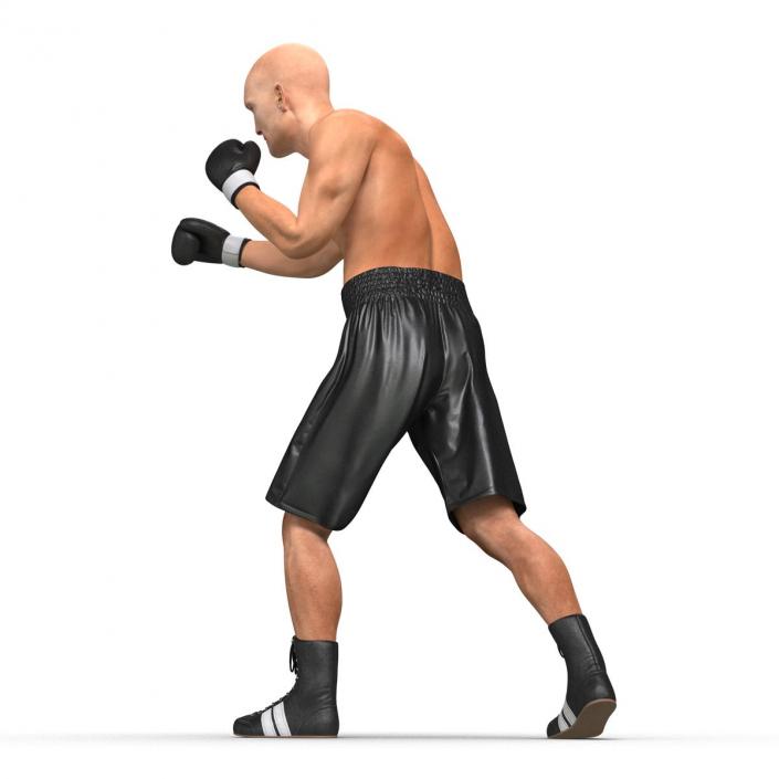 Adult Boxer Man Pose 3 3D