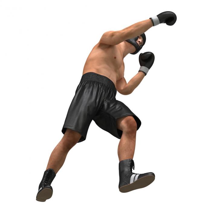 Adult Boxer Man Pose 3 3D