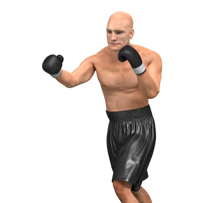 Adult Boxer Man Pose 3 3D