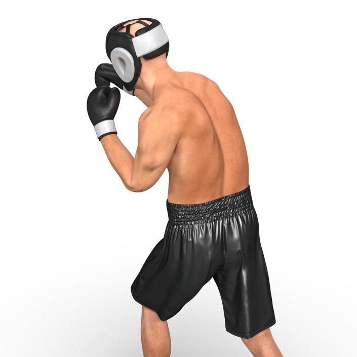 Adult Boxer Man Pose 3 3D