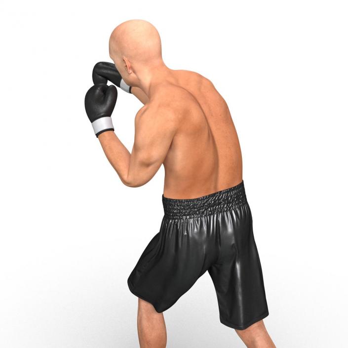 Adult Boxer Man Pose 3 3D