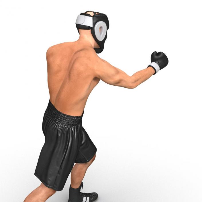 Adult Boxer Man Pose 3 3D