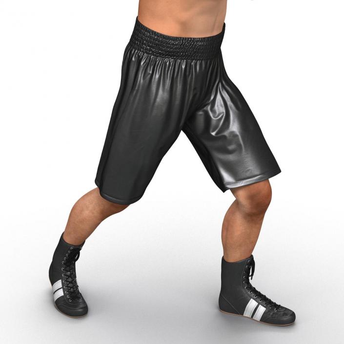 Adult Boxer Man Pose 3 3D