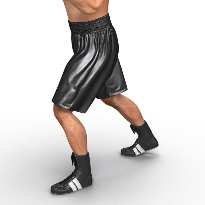 Adult Boxer Man Pose 3 3D