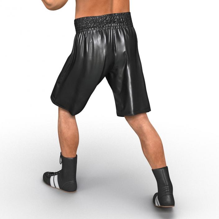 Adult Boxer Man Pose 3 3D