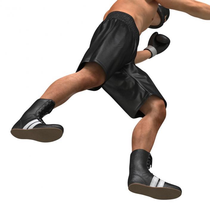 Adult Boxer Man Pose 3 3D