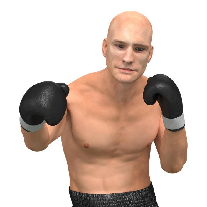 Adult Boxer Man Pose 3 3D