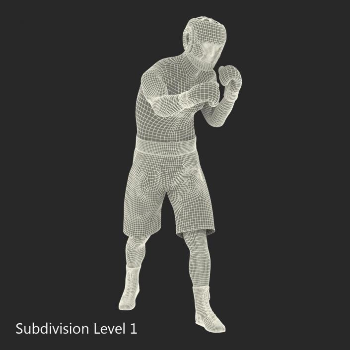 Adult Boxer Man Pose 3 3D