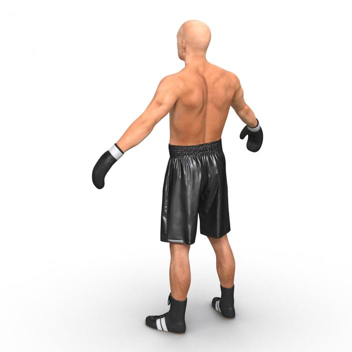 Boxer Man 3D model