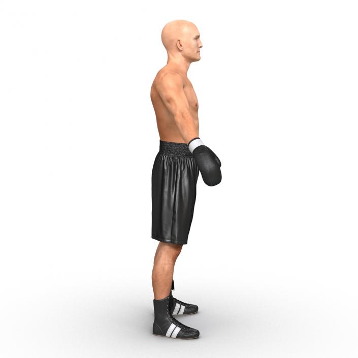 Boxer Man 3D model