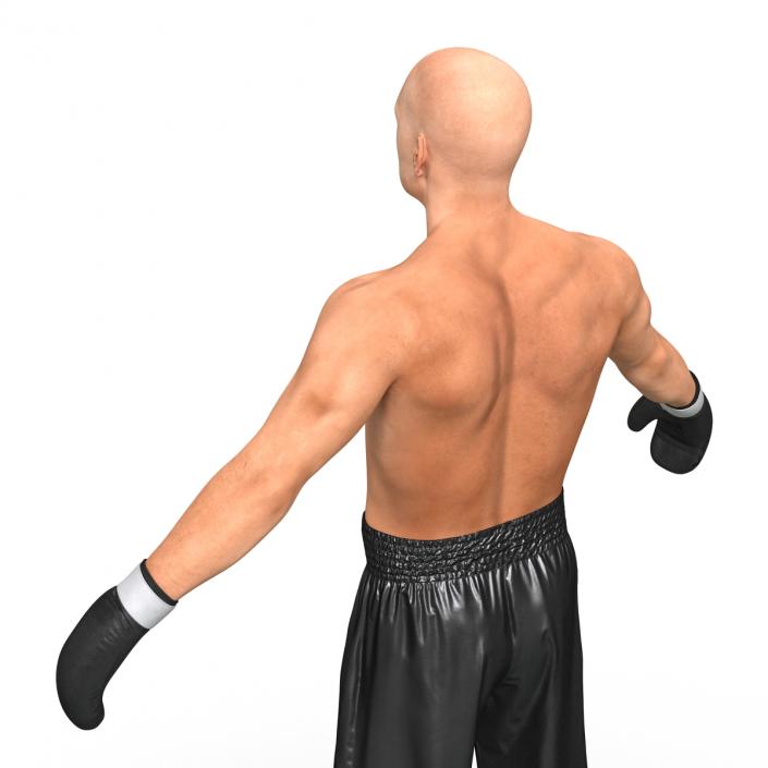 Boxer Man 3D model