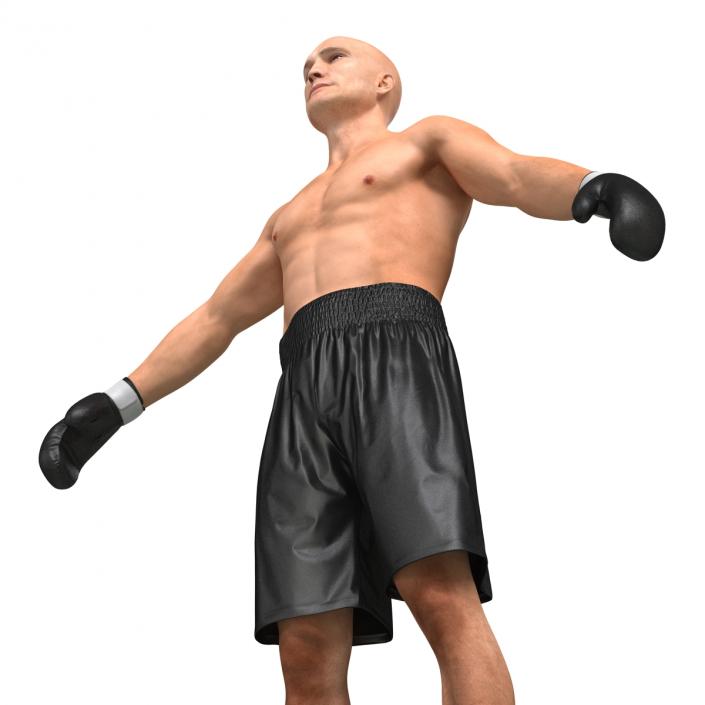 Boxer Man 3D model