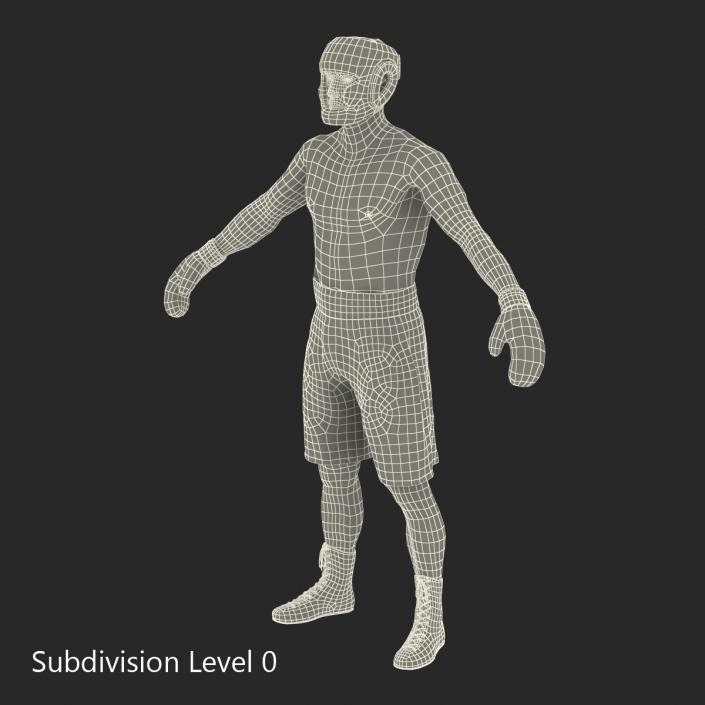 Boxer Man 3D model