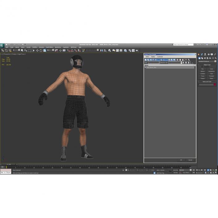 Boxer Man 3D model