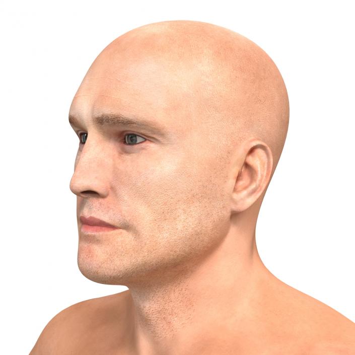 3D model Adult Boxer Man