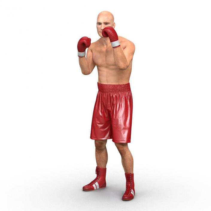 3D Boxer Man Pose 2